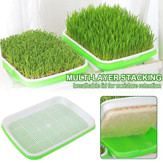 Soilless Planting Seedling Tray,Seed Sprouter Germination Tray for Growing, Bean Sprouts, Cat Grass, Wheat Grass, Mung Beans