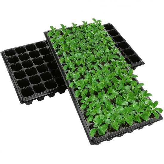 Succulent Plant Nursery Pot10Set of Household Thickened Breathable Flower Pots for Courtyard, Balcony, Greenhouse, Sowing, and S