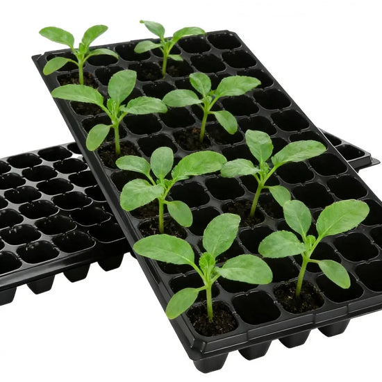 Succulent Plant Nursery Pot10Set of Household Thickened Breathable Flower Pots for Courtyard, Balcony, Greenhouse, Sowing, and S