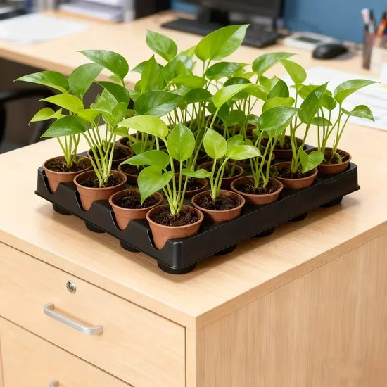 Reusable Seedling Starter Trays with Drainage Holes for Garden Balcony Lawn Greenhouse Suitable for Growing Beans Flowers